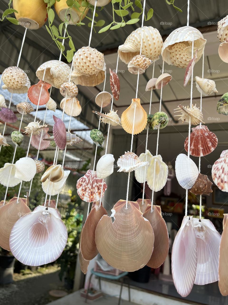 📷 Color Explosion 