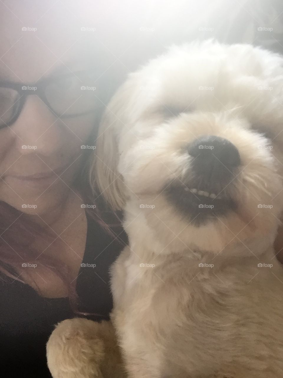 Selfie avec mon chien 