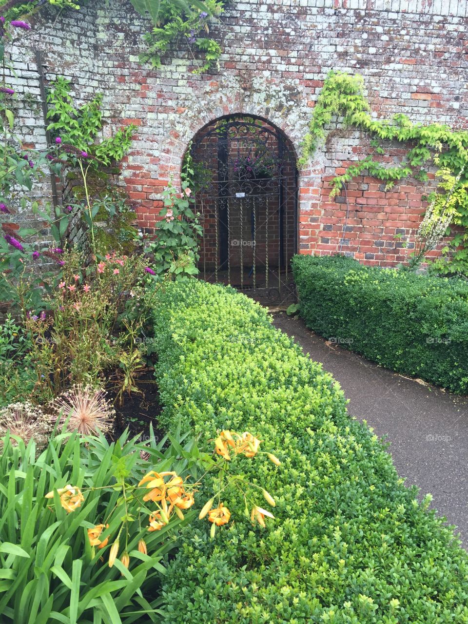 Garden path