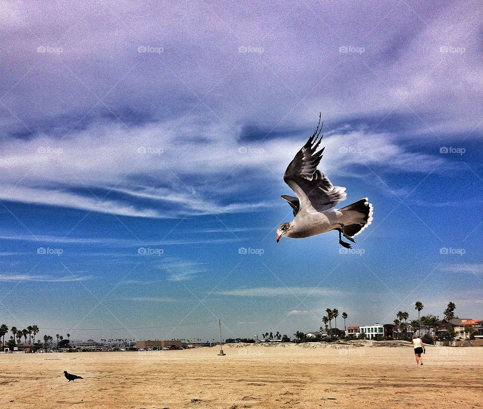 beach ocean sky nature by analia