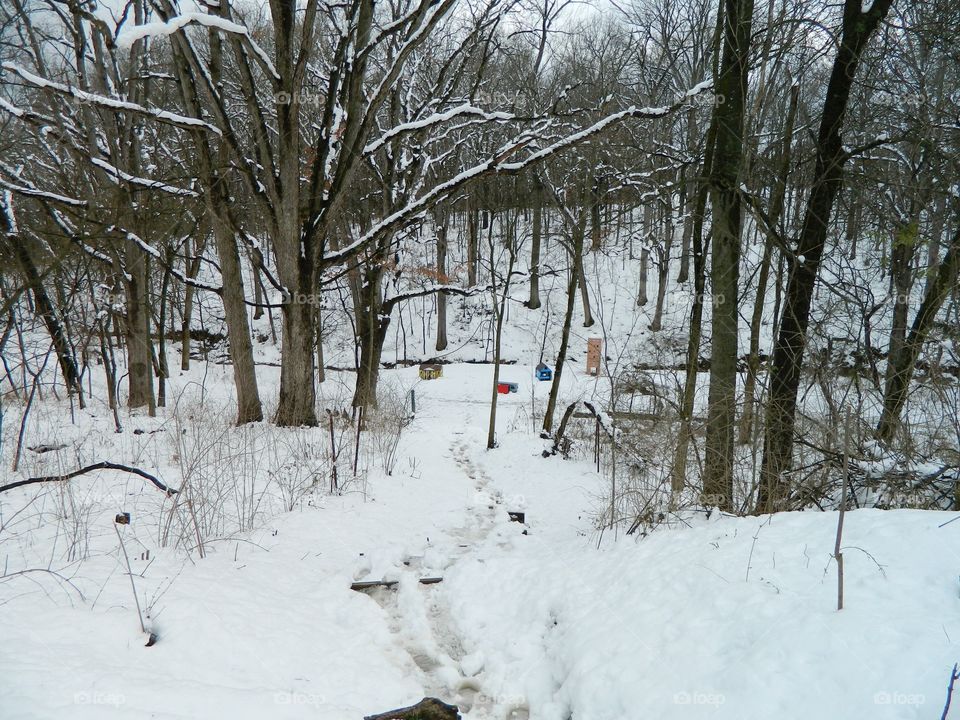 winter in the sculpture park