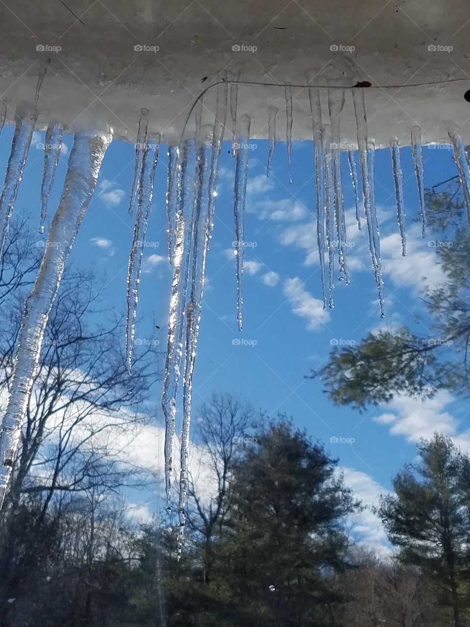 winter icicles thawing from the sun