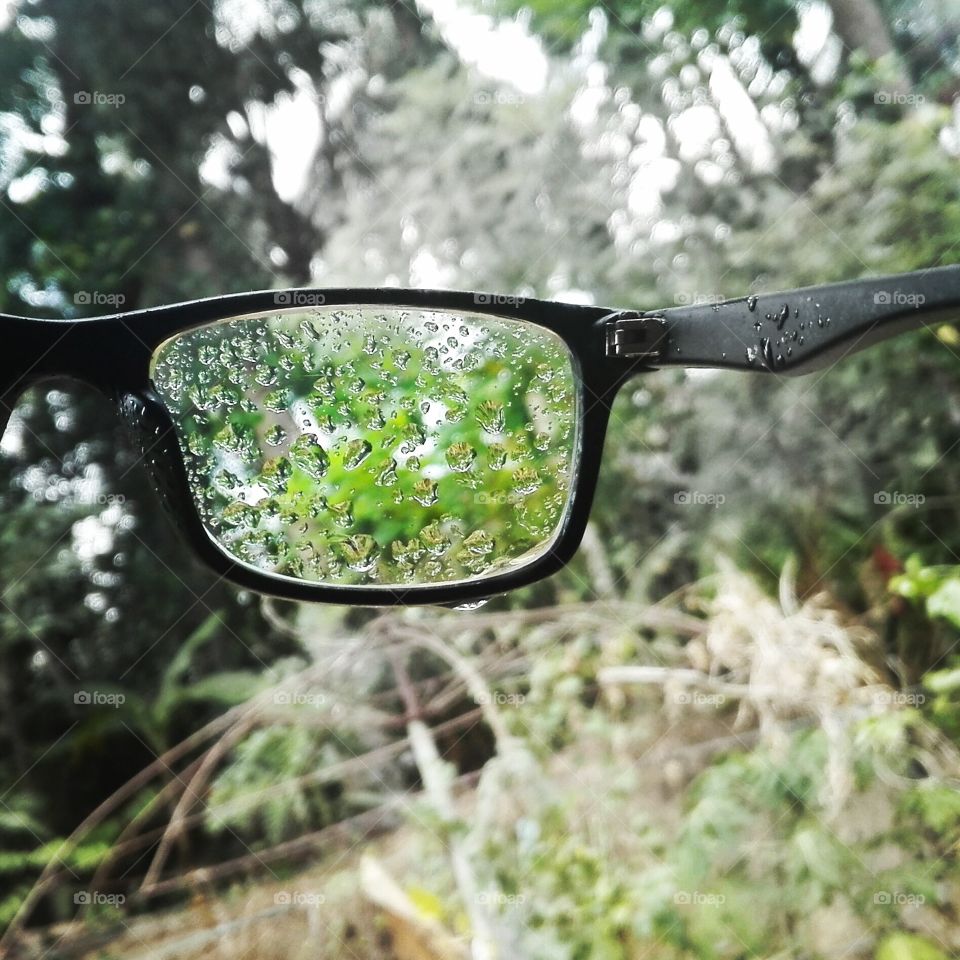 Looking through the rainy spectacle