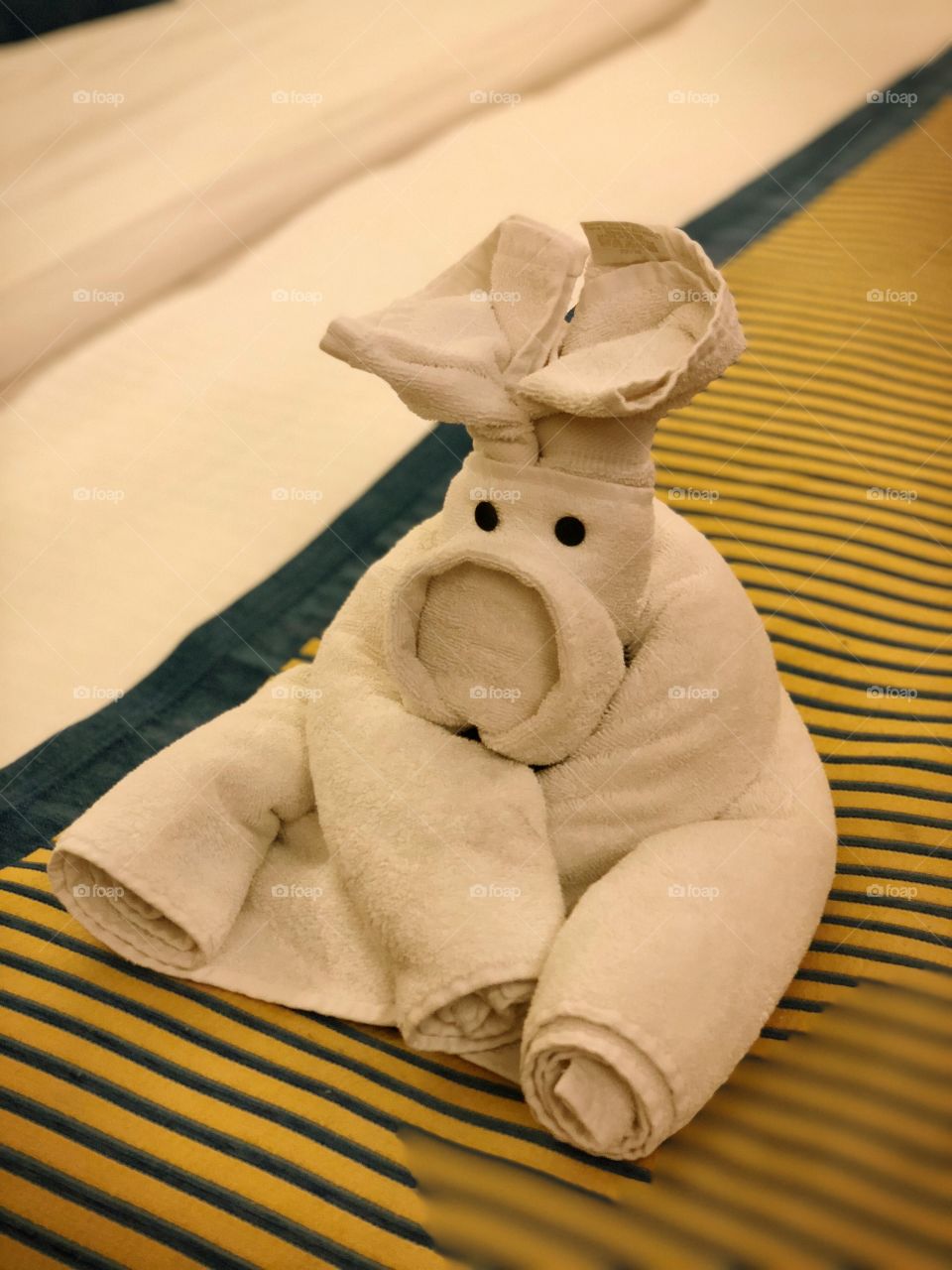 Carnival Sunshine Cruise towel animal made by our room Stuart