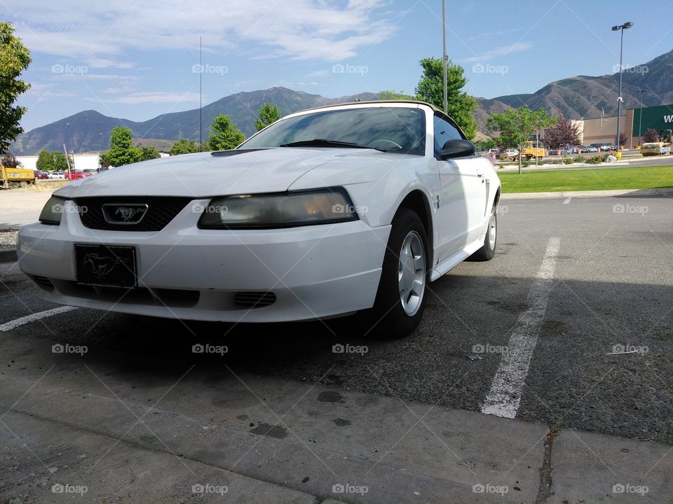 2001 V6 Mustang