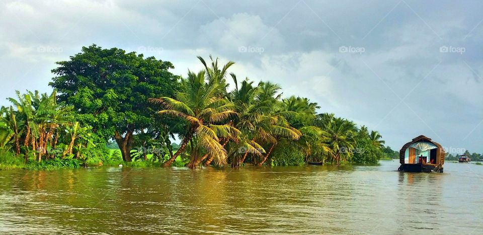 Floating along the backwaters in monsoon season