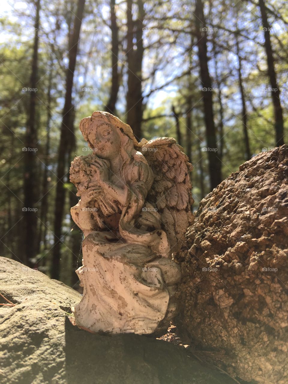 Tiny Angel Lit By The Sun Kneeling in Woods on a Rock.