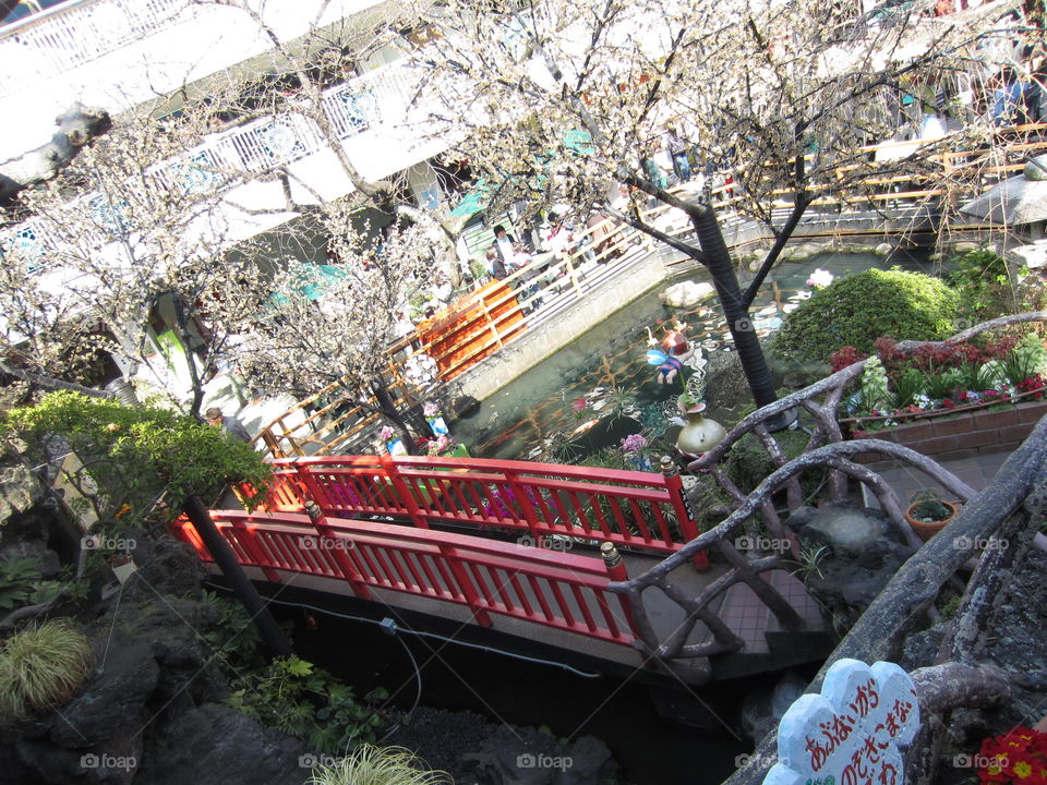 "Friendship Bridge" at Hanayashiki Amusement Park, Asakusa, Tokyo, Japan.
Trees and Flowers Overlooking Pond.