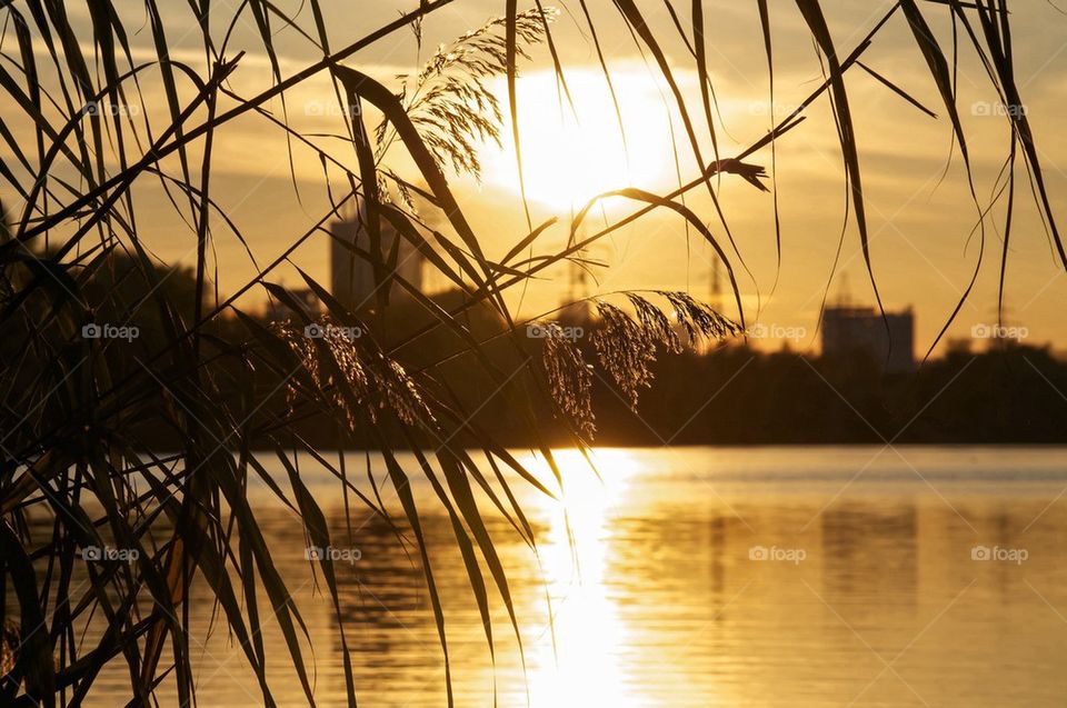 beautiful sunset, bird in sky, beautiful clouds, evening, fog overwater, evaporation, quiet, rest, nature