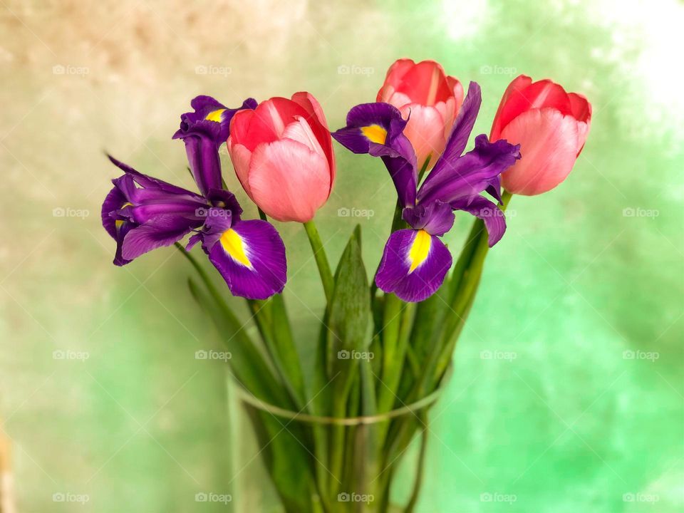 tulips and irises