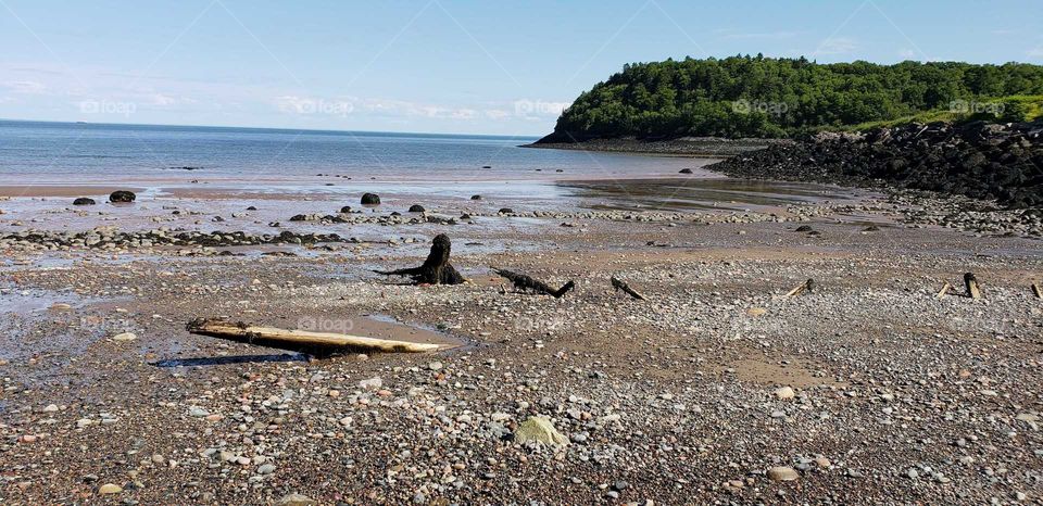 Seashore of the Bay of Fundy in Canada