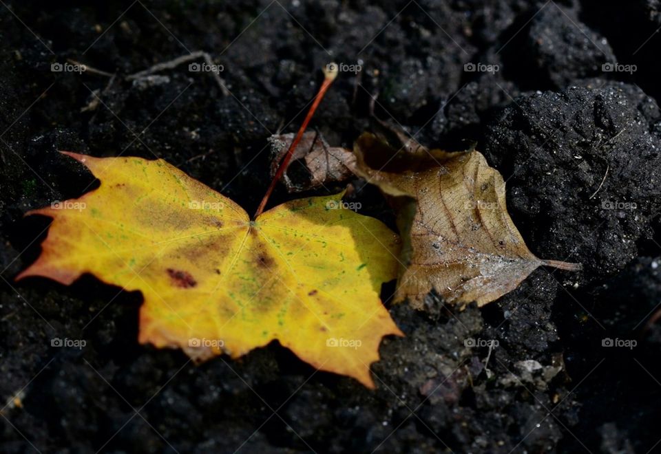 Keep me warm when the summer has gone...