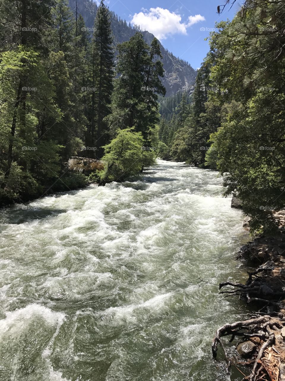 Yosemite National Park