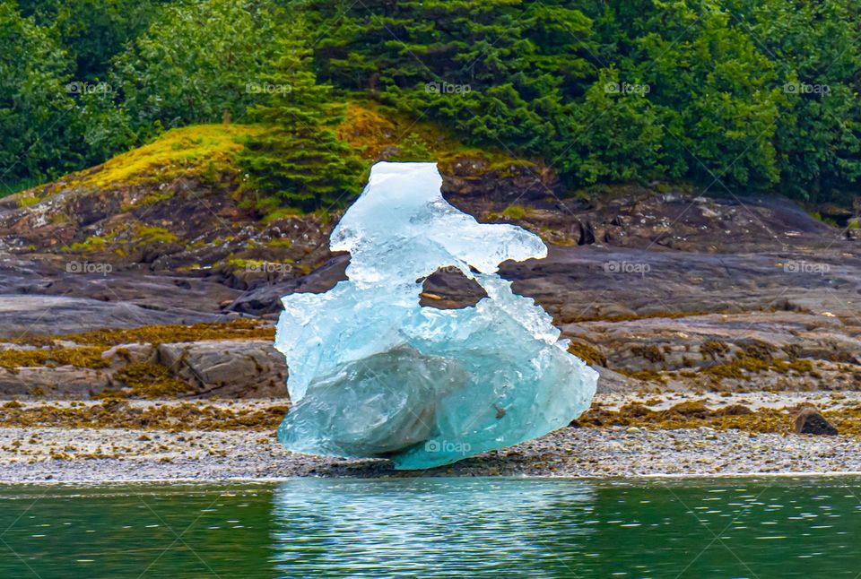 Beached Iceberg in a Lush Setting