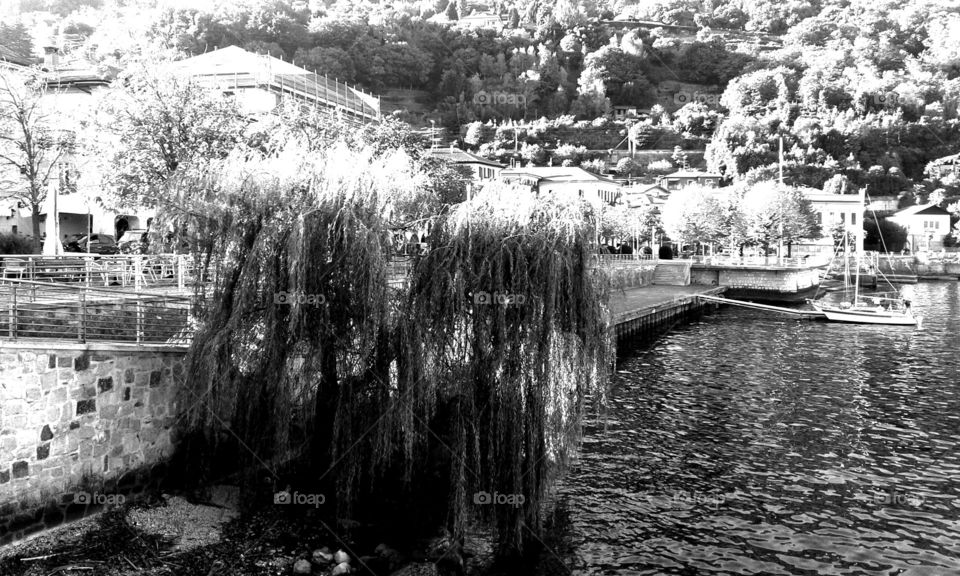 Sunny day at the lake