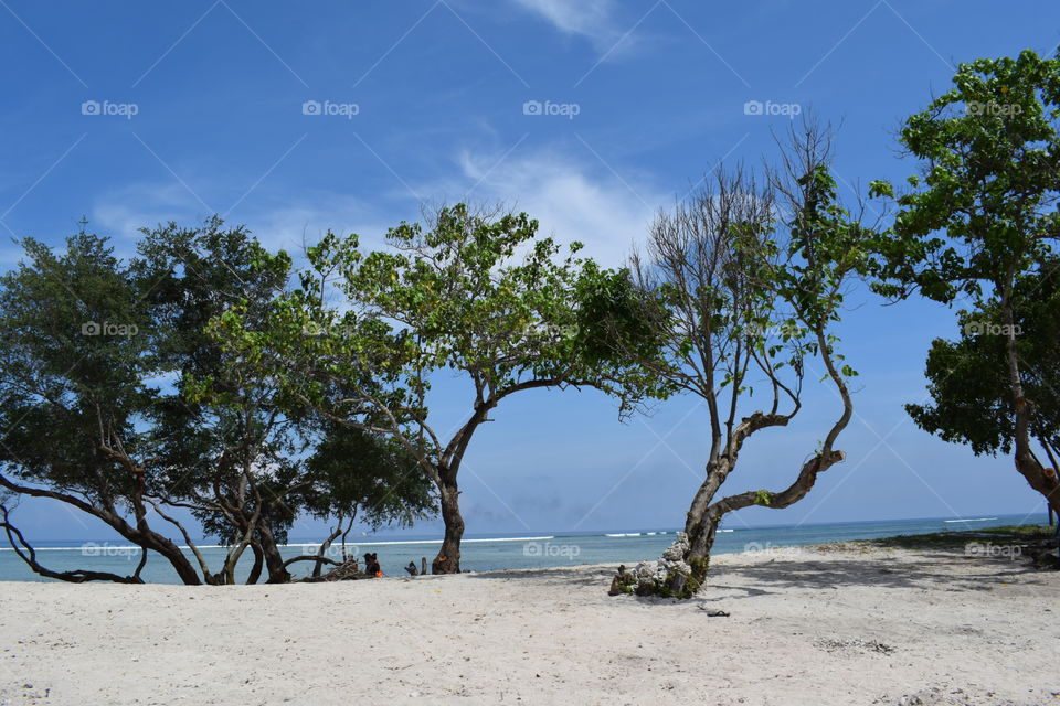 landscape at the beach