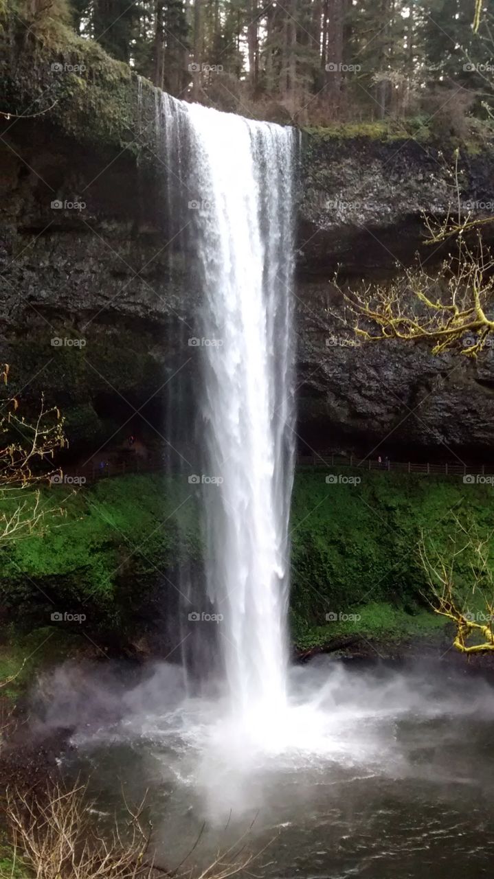 silver falls. I love this place