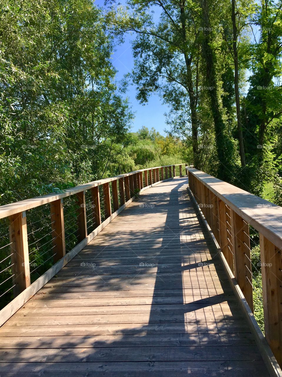 A section of the cycle-pedestrian path of the Sile River Regional Park