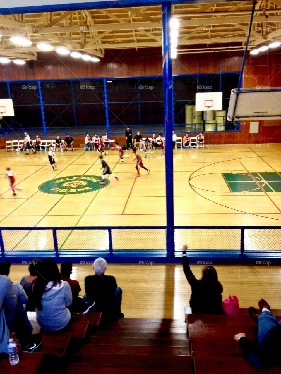 National Junior Basketball League 


Published by:
HappyBrownMonkey 