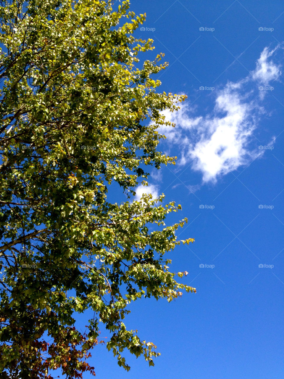 sky green blue background by refocusphoto