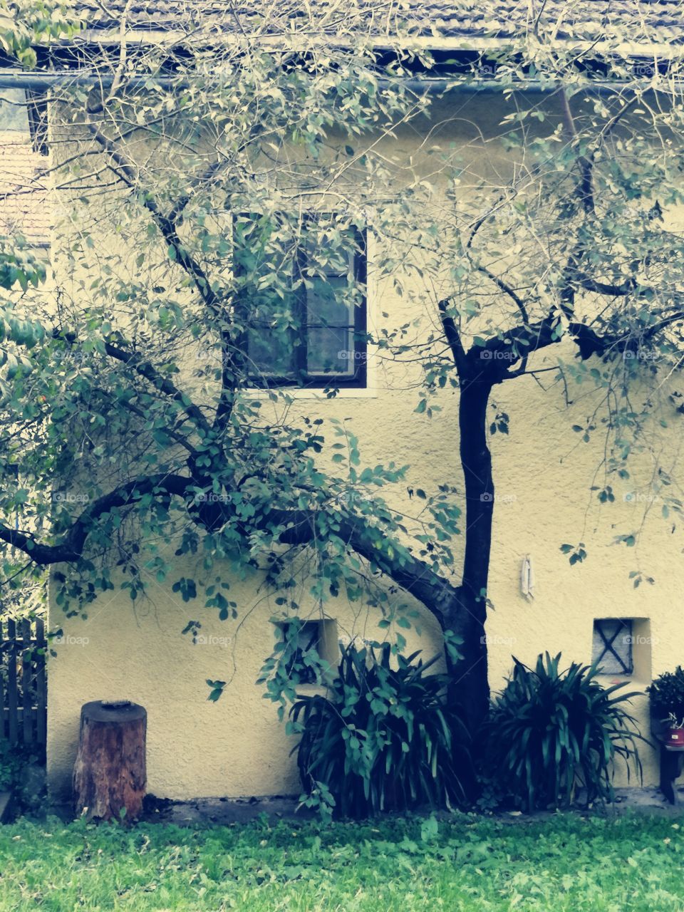 Facade of an old house.