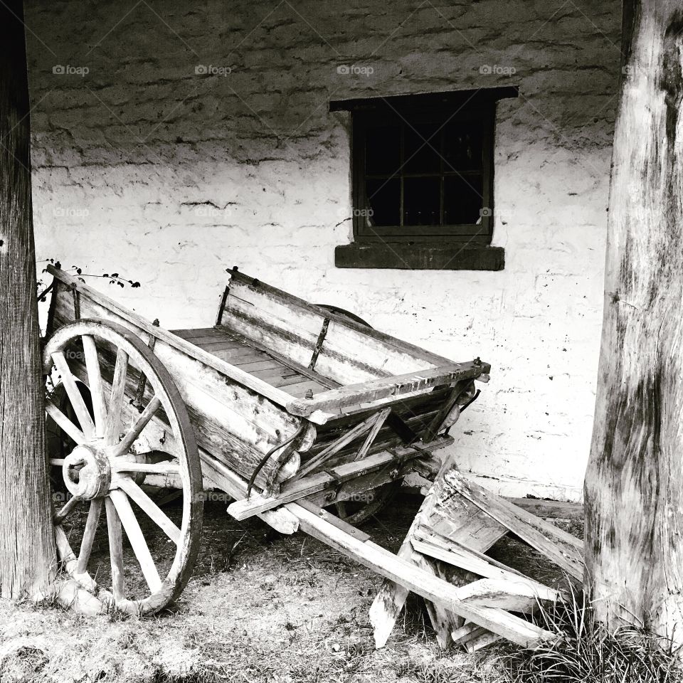 Old horse drawn farm wagon in black and white