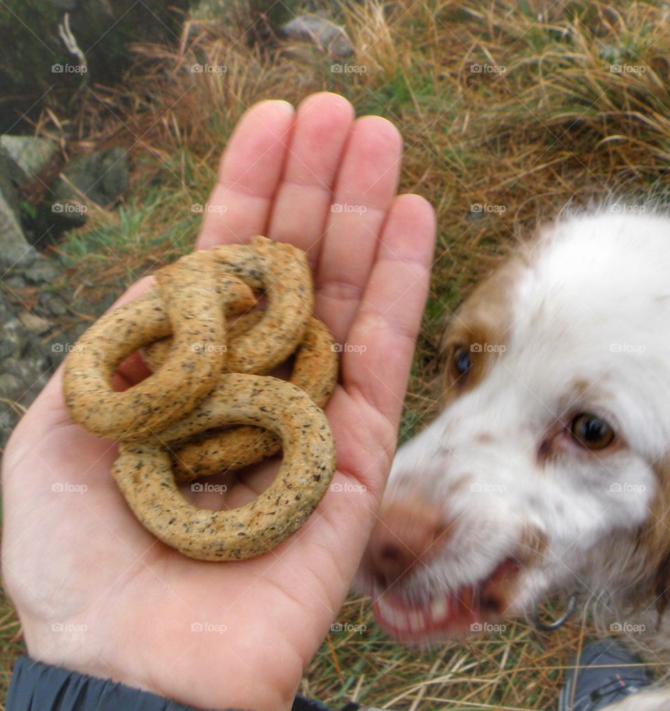 Taralli integrali