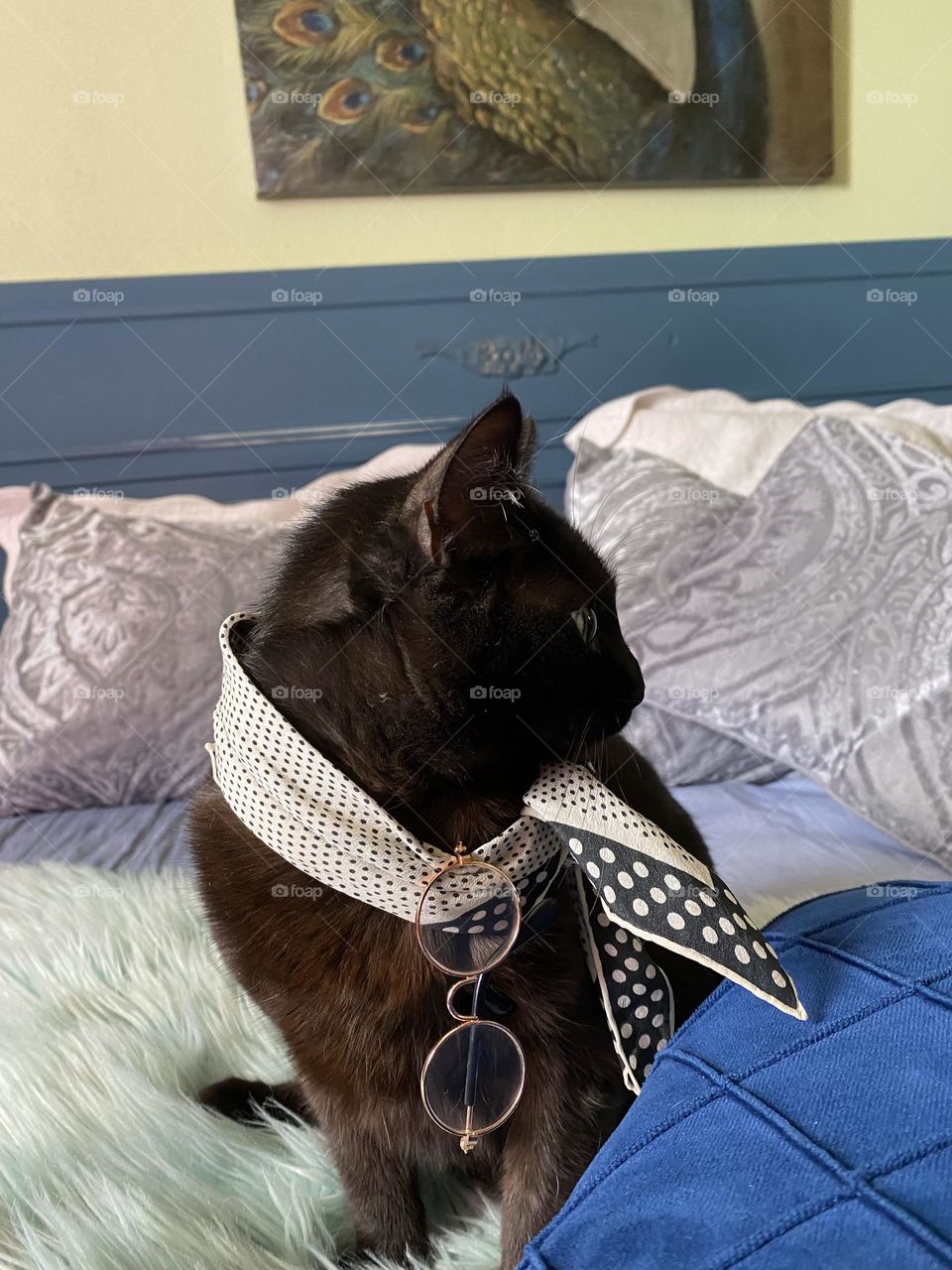 Un buen perfil no se puede negar 