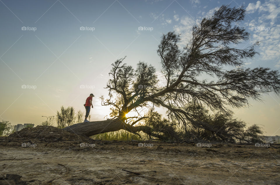 Man standing on fallen tree during sunset