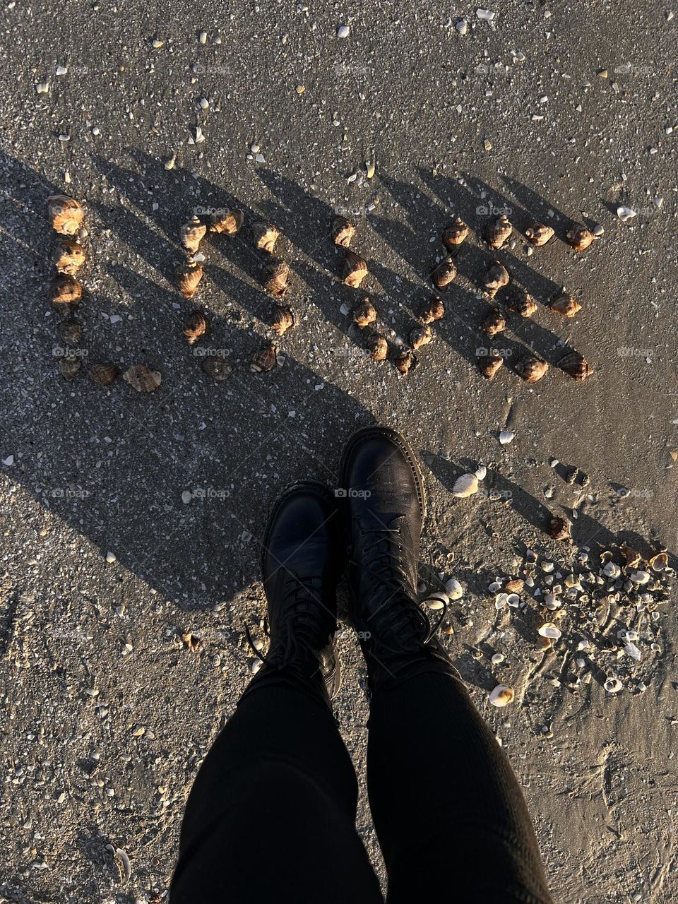 beautifully laid out shells on the seashore, lined with the word love