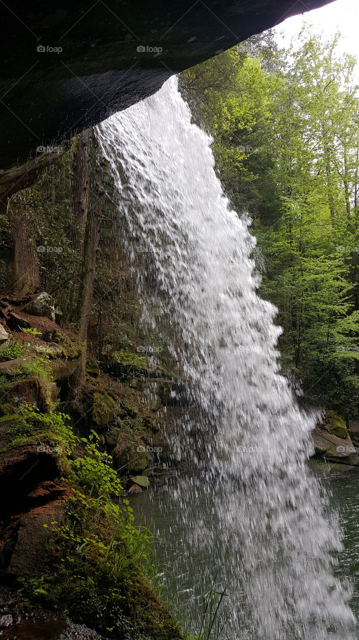 Close Up Falls