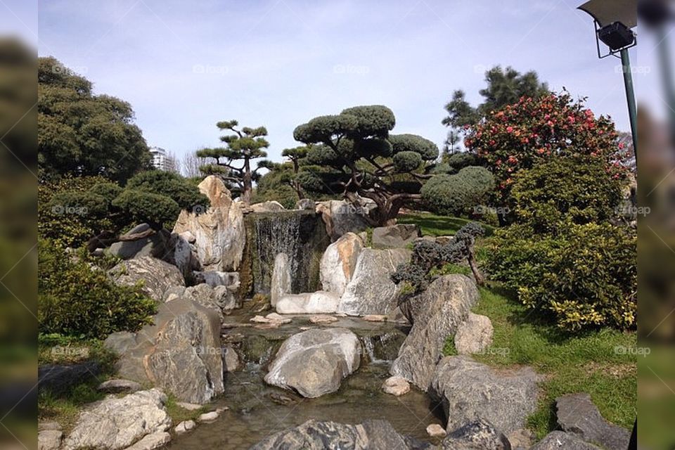 Japan Garden, beautiful!
