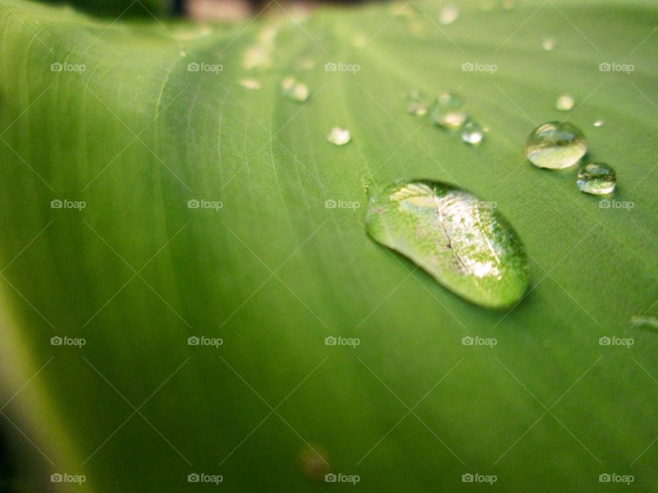 I love capturing raindrops