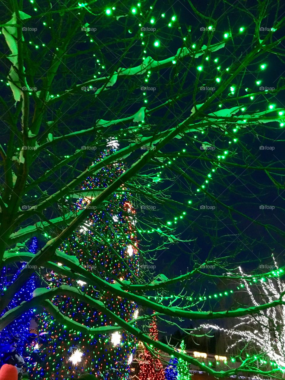 Christmas celebration. 