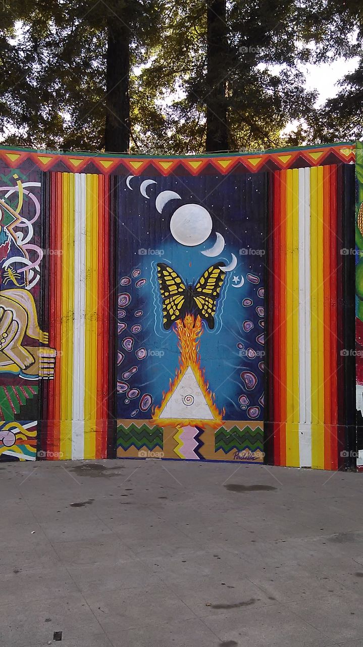 Butterfly. Out at the park