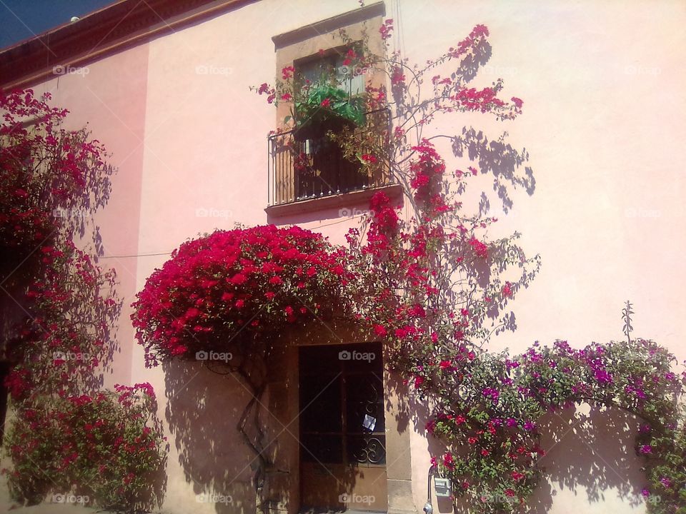 Typical window in Mexico