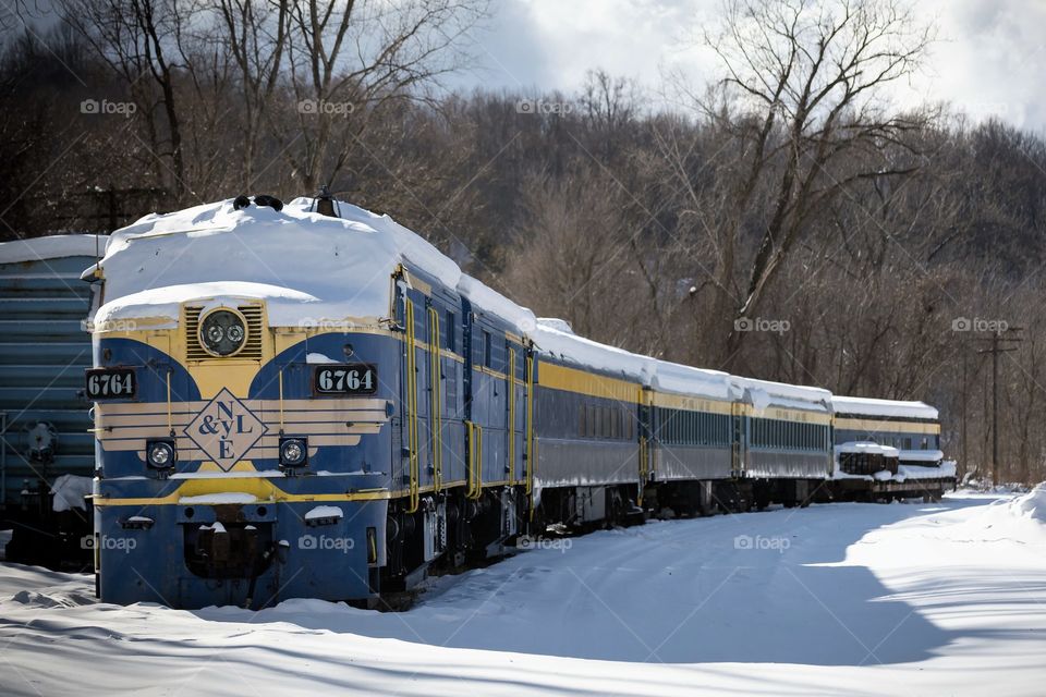 winter train
