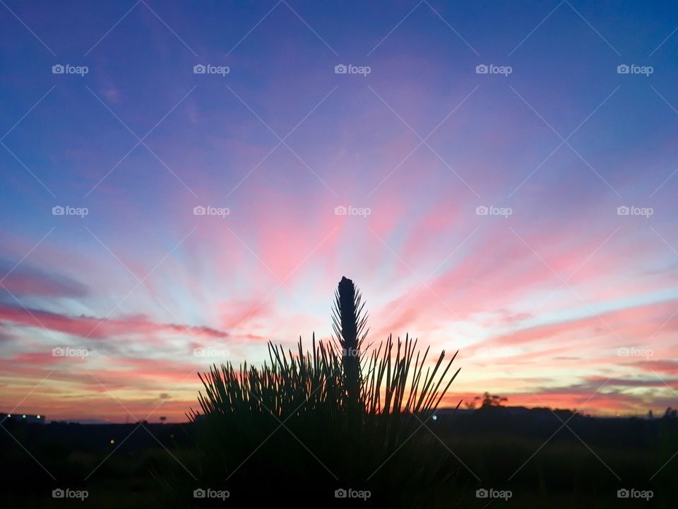 🇺🇸And this silhouette of dawn so beautiful in Brazilian lands? / 🇧🇷 E essa silhueta do amanhecer tão bonito em terras brasileiras? 