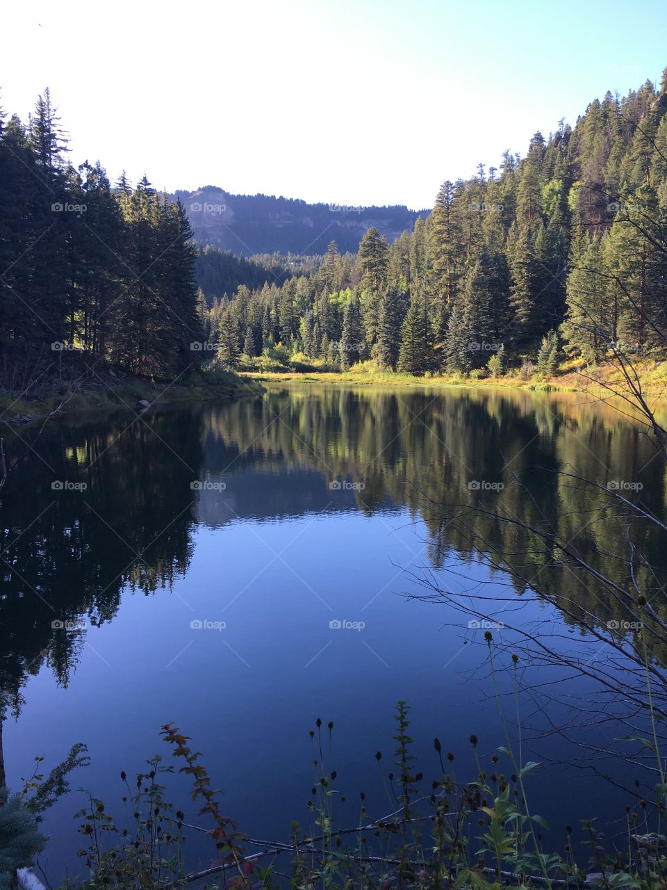 Reflection of trees and mountain on lake