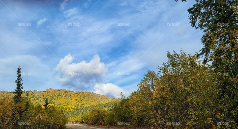 Blue skies and Fall leaves