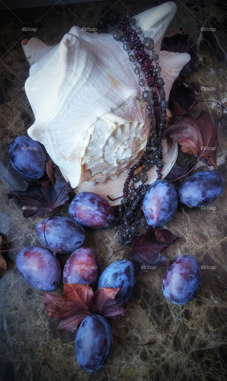 Purple marble shell bijouterie bijouterie