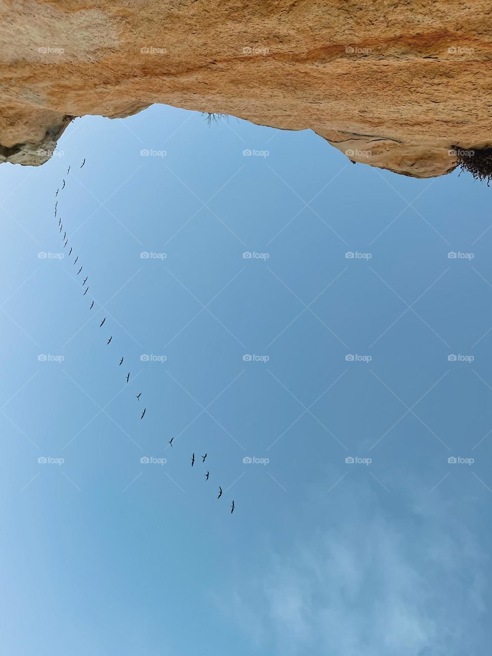 bird formation, blue sky, & a cliff