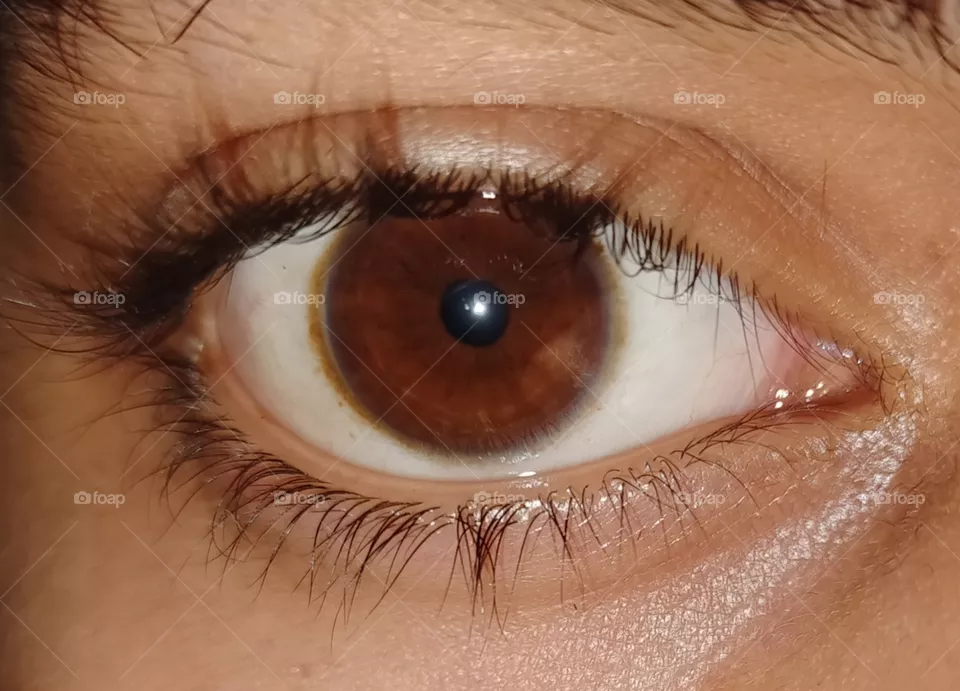 Eyes .