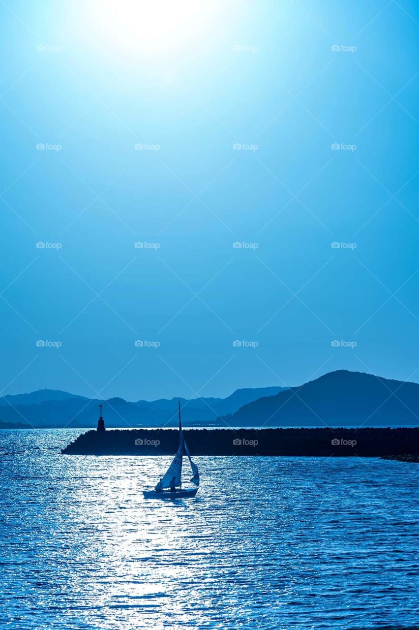 have a beautiful sunny day