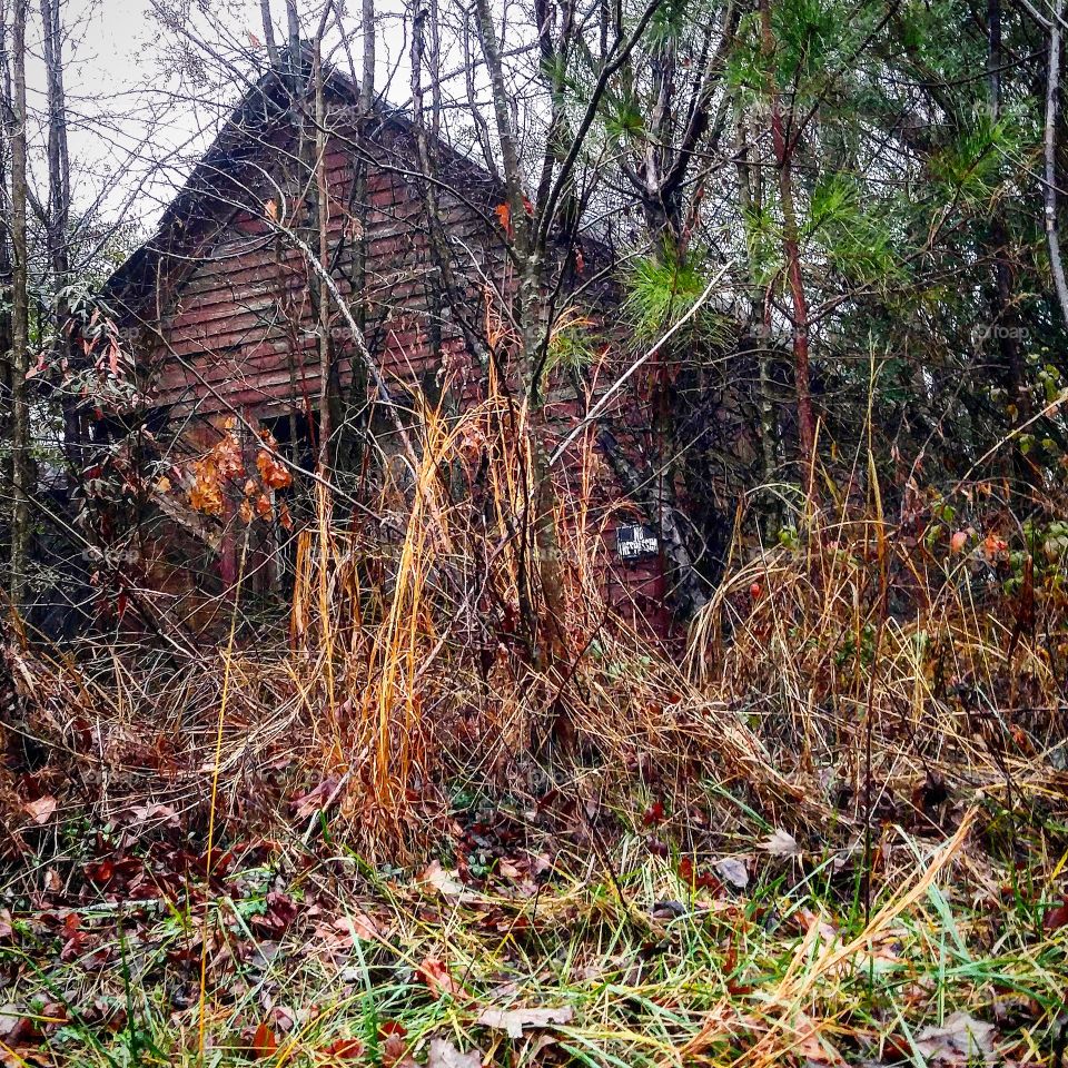 nature reclaims everything.