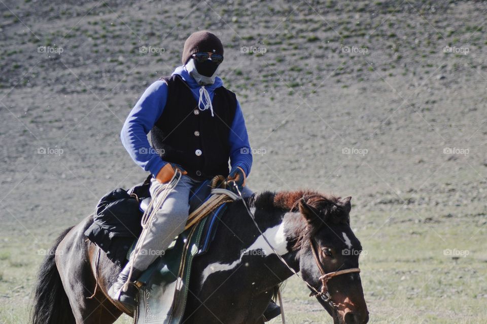 Cowboy at work. Mongolia 2018