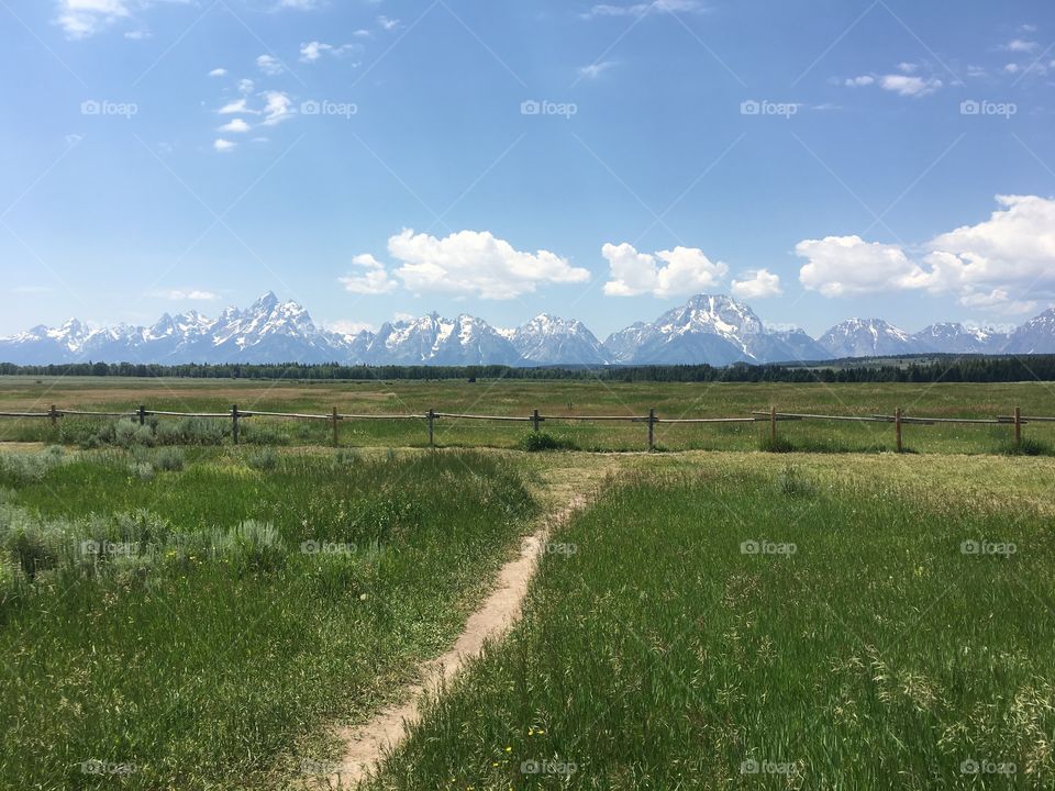 Fields looking out towards the Tetons! 
