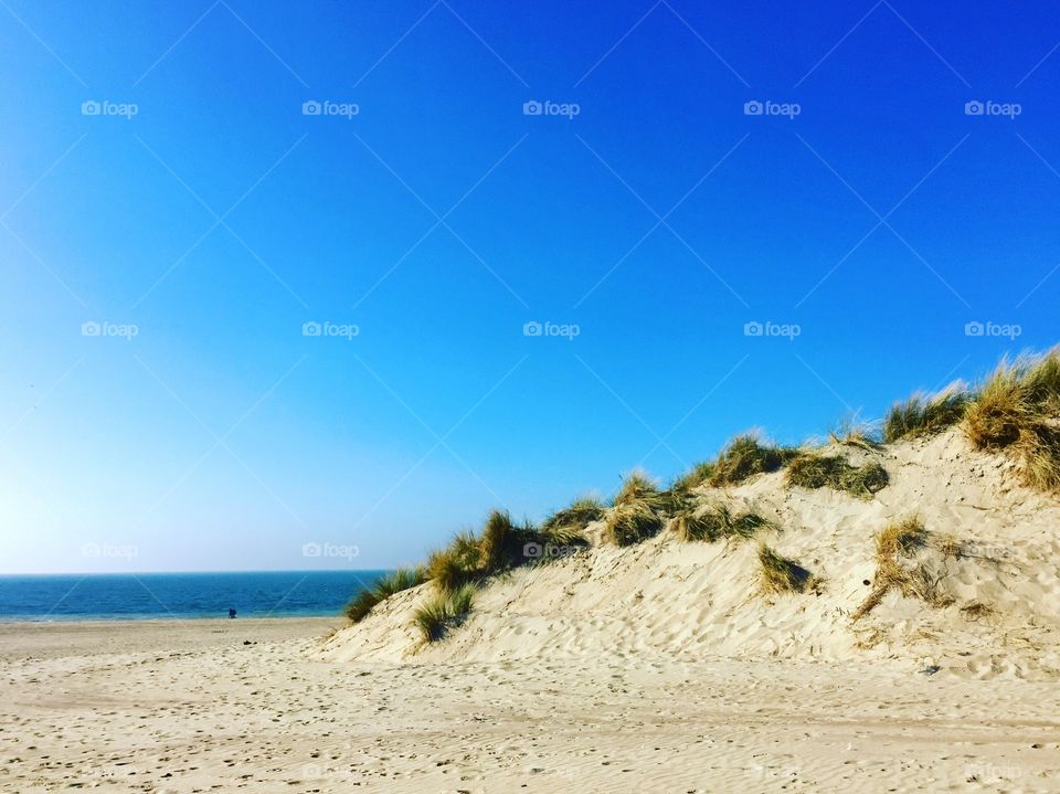 Dunes at the beach