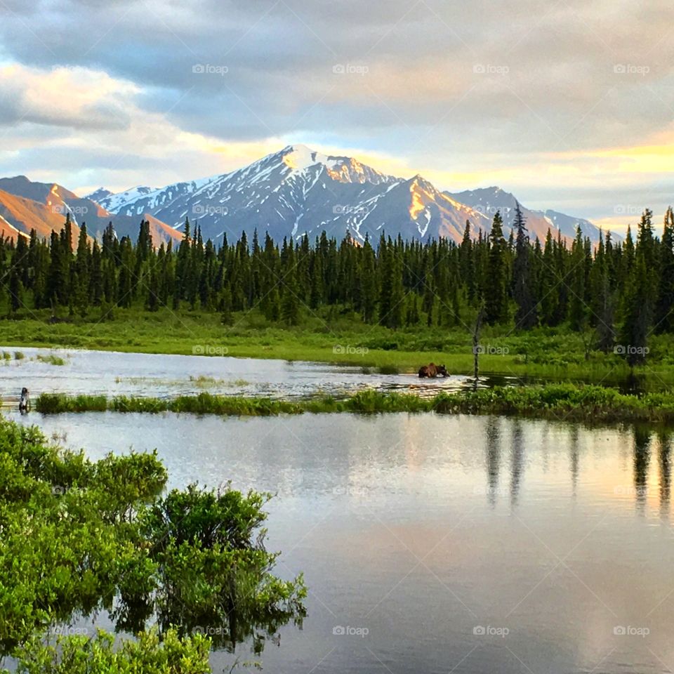 Alaska Sunset 