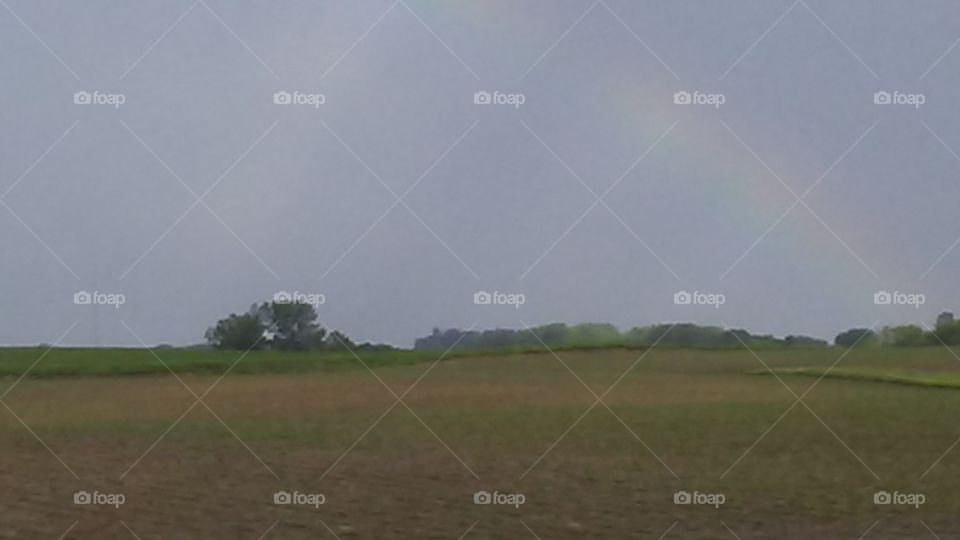 Landscape, Cropland, No Person, Tree, Agriculture